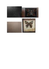 Menų mokyklinis brandos egzaminas, dailės kryptis. Kūrybinio darbo aprašas. Asambliažas „Drugelis“ 3 puslapis