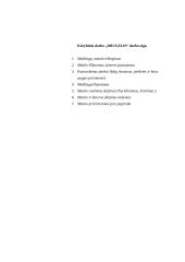 Menų mokyklinis brandos egzaminas, dailės kryptis. Kūrybinio darbo aprašas. Asambliažas „Drugelis“ 4 puslapis