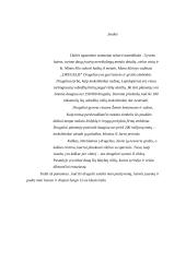 Menų mokyklinis brandos egzaminas, dailės kryptis. Kūrybinio darbo aprašas. Asambliažas „Drugelis“ 5 puslapis