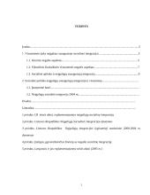 Suaugusiojo neįgalaus socialinė integracija 2 puslapis