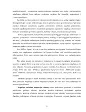 Suaugusiojo neįgalaus socialinė integracija 13 puslapis