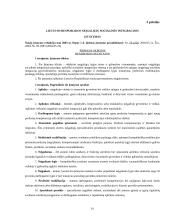 Suaugusiojo neįgalaus socialinė integracija 19 puslapis