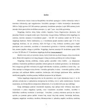 Suaugusiojo neįgalaus socialinė integracija 3 puslapis