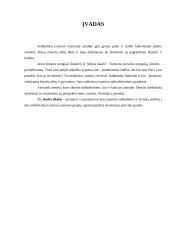 Subkultūrų įvairovė Lietuvoje 2 puslapis