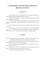 Subkultūrų įvairovė Lietuvoje 6 puslapis