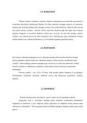 Subkultūrų įvairovė Lietuvoje 7 puslapis