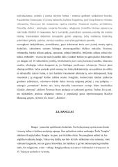 Subkultūrų įvairovė Lietuvoje 9 puslapis