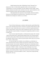 Subkultūrų įvairovė Lietuvoje 10 puslapis