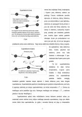 Superlaidumas 11 puslapis