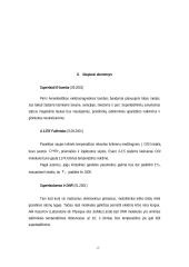 Superlaidumas 19 puslapis