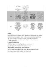 Superlaidumas 5 puslapis