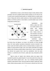 Superlaidumas 10 puslapis