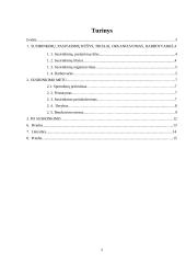 Susirinkimai ir pasitarimai 2 puslapis