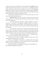 Susirinkimai ir pasitarimai 10 puslapis