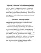 Susisiekimo infrastruktūra, automobilių keliai 2 puslapis