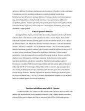 Susisiekimo infrastruktūra, automobilių keliai 12 puslapis