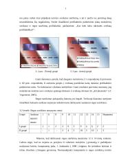 Sutrikusios regos moksleivių požiūris į regos sutrikimų prevenciją 15 puslapis