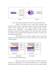 Sutrikusios regos moksleivių požiūris į regos sutrikimų prevenciją 17 puslapis
