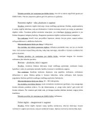 Sveikas maistas ir sveika mityba 13 puslapis