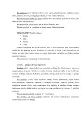 Sveikas maistas ir sveika mityba 18 puslapis