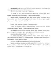 Sveikas maistas ir sveika mityba 20 puslapis