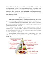 Sveikas maistas ir sveika mityba 3 puslapis