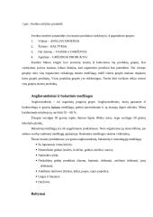 Sveikas maistas ir sveika mityba 4 puslapis