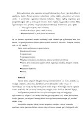 Sveikas maistas ir sveika mityba 5 puslapis