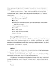 Sveikas maistas ir sveika mityba 6 puslapis