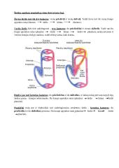 Kraujotakos sistema. Konspektas 2 puslapis