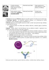 Kraujotakos sistema. Konspektas 4 puslapis
