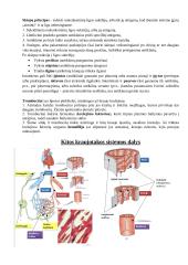 Kraujotakos sistema. Konspektas 5 puslapis