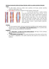 Kraujotakos sistema. Konspektas 6 puslapis