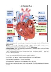 Kraujotakos sistema. Konspektas 7 puslapis