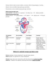 Kraujotakos sistema. Konspektas 8 puslapis