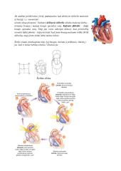 Kraujotakos sistema. Konspektas 9 puslapis
