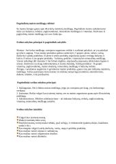 Sveikos mitybos reikšmė 2 puslapis