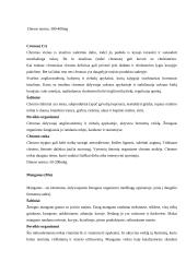 Sveikos mitybos reikšmė 11 puslapis