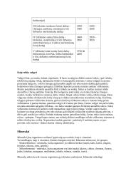 Sveikos mitybos reikšmė 4 puslapis