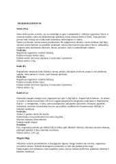 Sveikos mitybos reikšmė 6 puslapis