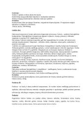 Sveikos mitybos reikšmė 7 puslapis