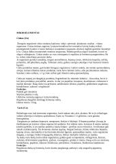 Sveikos mitybos reikšmė 9 puslapis