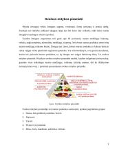 Sveikos mitybos piramidė, principai ir taisyklės 2 puslapis