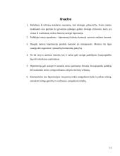 Sveikos mitybos piramidė, principai ir taisyklės 12 puslapis