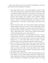 Sveikos mitybos piramidė, principai ir taisyklės 3 puslapis