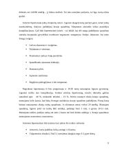 Sveikos mitybos piramidė, principai ir taisyklės 8 puslapis