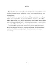 Sveika mitybos taisyklės 2 puslapis