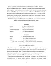 Sveika mitybos taisyklės 7 puslapis