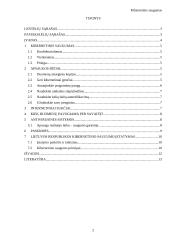 Kibernetinis saugumas (referatas)