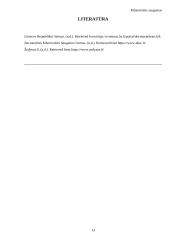 Kibernetinis saugumas (referatas) 12 puslapis